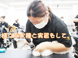 １年生、今日もがんばっています！